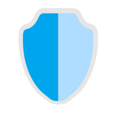 🛡️